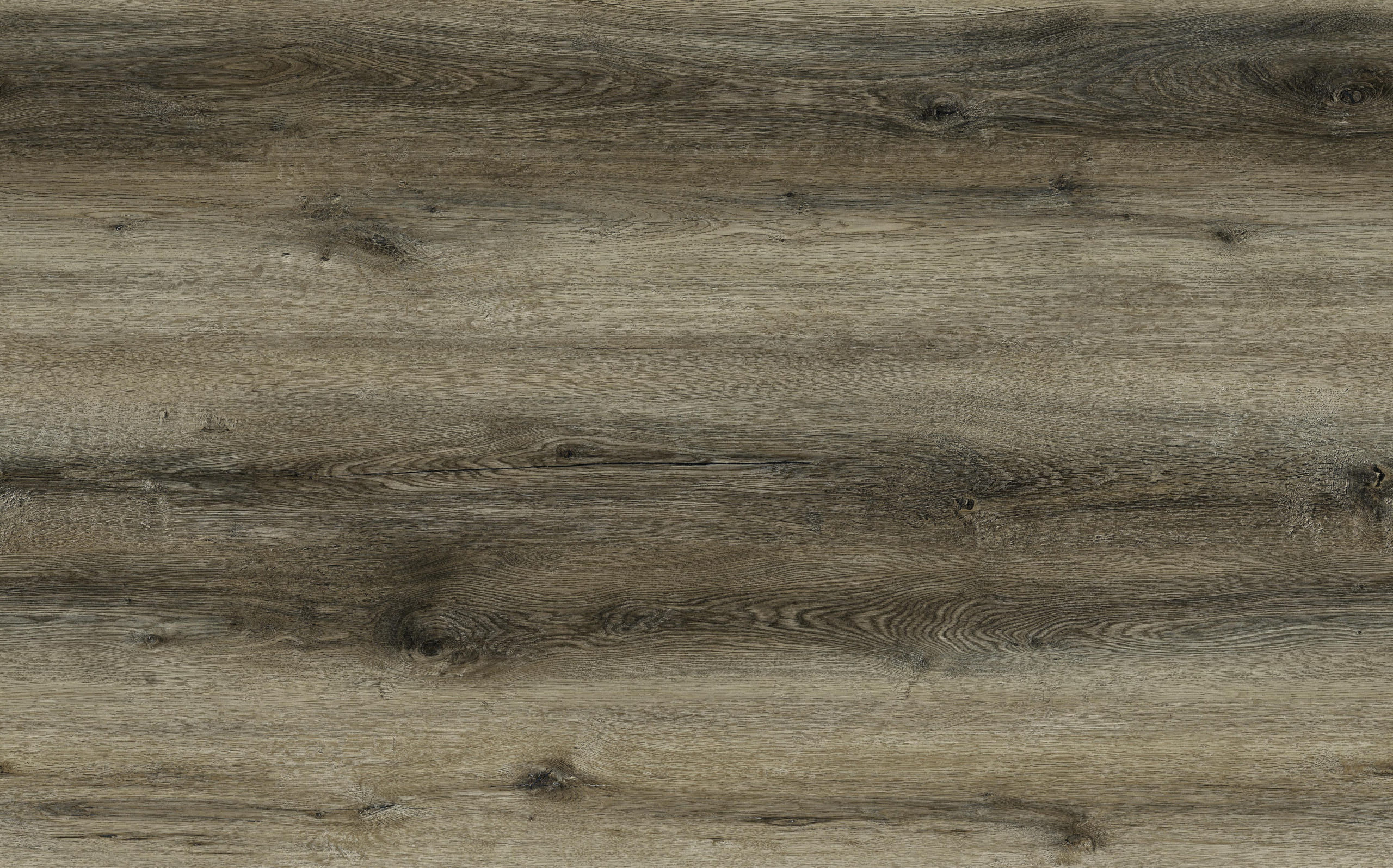 Majestic Forest · Eterna 1328-1 — original catalogue plank