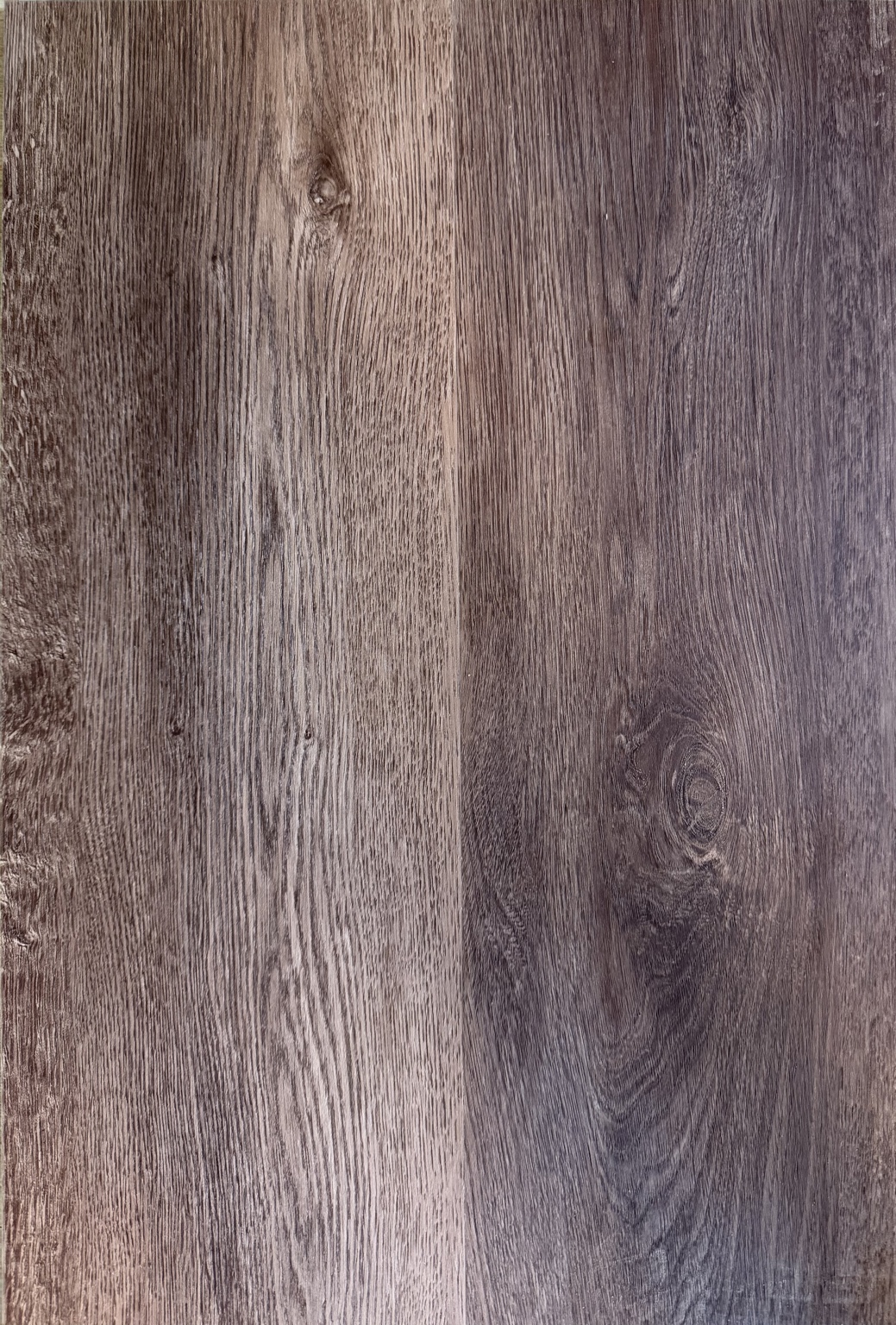 Majestic Forest · Ebony 1328-4 — original catalogue plank