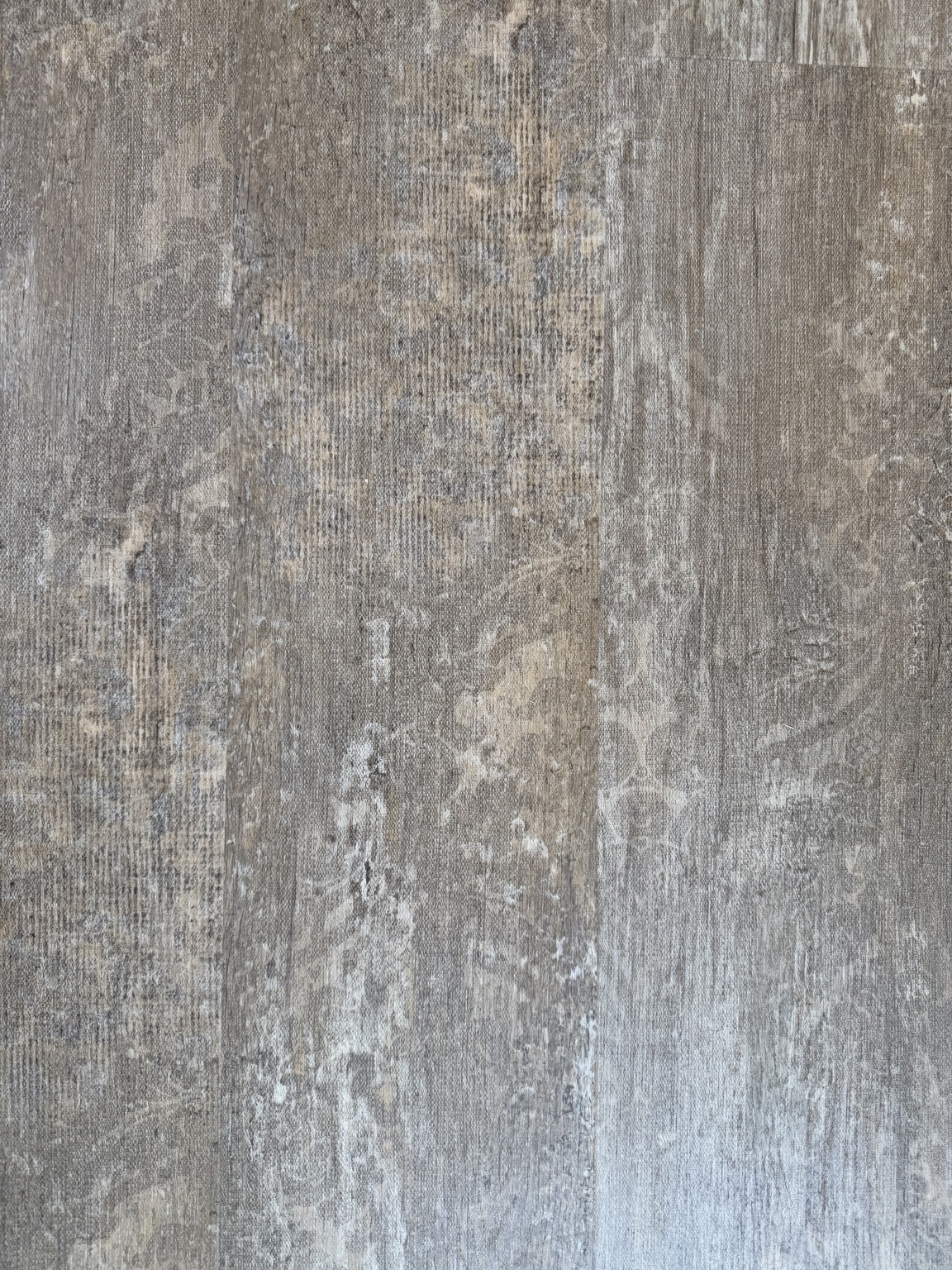 Majestic Forest · Stormwood 2022 — original catalogue plank